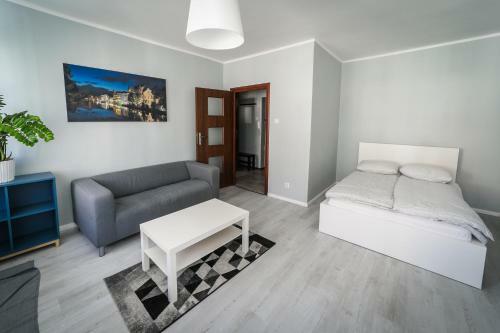 Silver Vision Apartment - Rynek Ополе Екстериор снимка